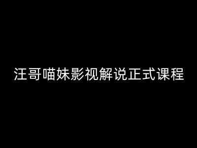 汪哥影视解说正式课程：剪映/PR教学/视解说剪辑5大黄金法则/全流程剪辑7把利器等等-航海圈