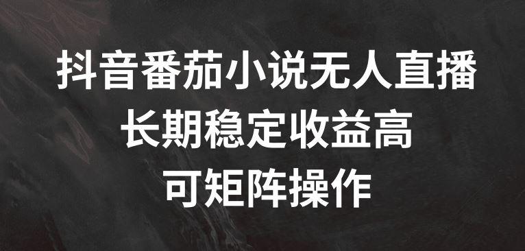 抖音番茄小说无人直播，长期稳定收益高，可矩阵操作【揭秘】-航海圈