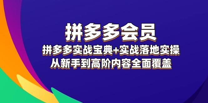 拼多多 会员，拼多多实战宝典+实战落地实操，从新手到高阶内容全面覆盖-航海圈