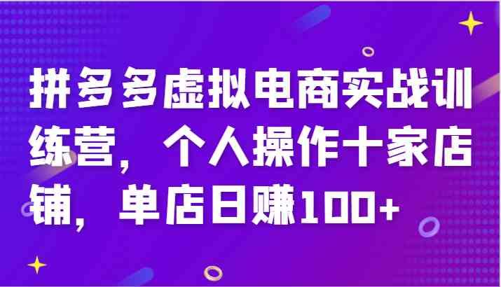 拼多多虚拟电商实战训练营，个人操作十家店铺，单店日赚100+-航海圈