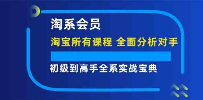 淘系会员初级到高手全系实战宝典【淘宝所有课程，全面分析对手】-航海圈