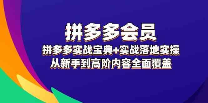 拼多多会员实战宝典+实战落地实操，从新手到高阶内容全面覆盖-航海圈