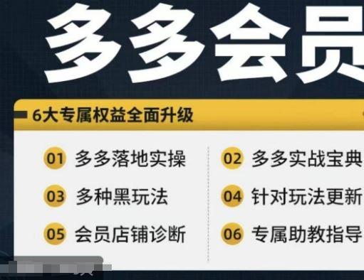 拼多多会员，拼多多实战宝典+实战落地实操，从新手到高阶内容全面覆盖-航海圈