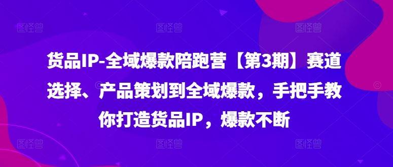 货品IP全域爆款陪跑营【第3期】赛道选择、产品策划到全域爆款，手把手教你打造货品IP，爆款不断-航海圈