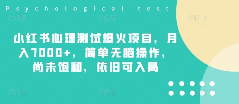 小红书心理测试爆火项目，月入7000+，简单无脑操作，尚未饱和，依旧可入局-航海圈