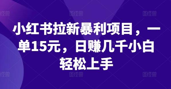 小红书拉新暴利项目，一单15元，日赚几千小白轻松上手-航海圈