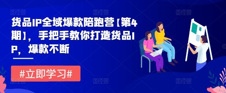 货品IP全域爆款陪跑营【第4期】，手把手教你打造货品IP，爆款不断-航海圈