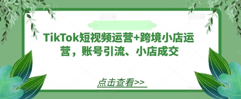 TikTok短视频运营+跨境小店运营，账号引流、小店成交-航海圈