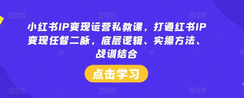 小红书IP变现运营私教课，打通红书IP变现任督二脉，底层逻辑、实操方法、战训结合-航海圈