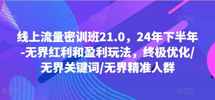 线上流量密训班21.0，24年下半年-无界红利和盈利玩法，终极优化/无界关键词/无界精准人群-航海圈