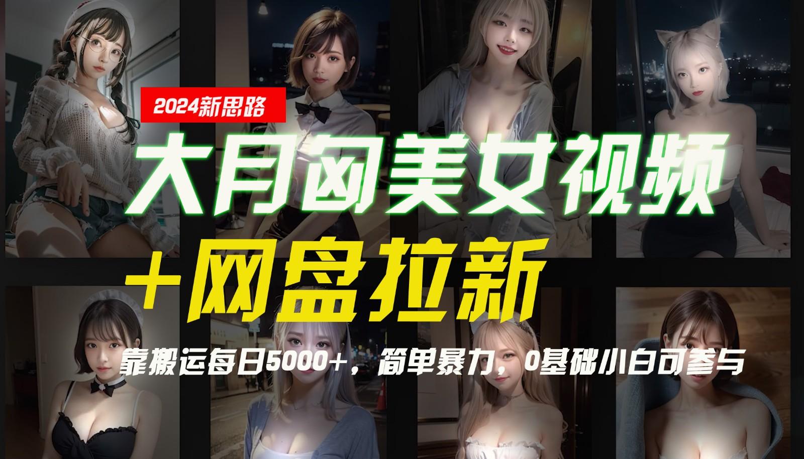 【新思路】大月匈美女视频+网盘拉新，靠搬运每日5000+，简单暴力，0基础小白可参与-航海圈