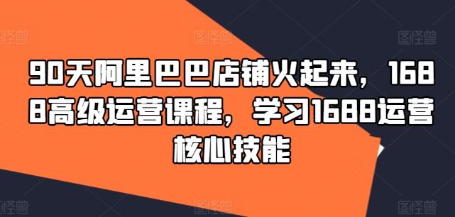 90天阿里巴巴店铺火起来，1688高级运营课程，学习1688运营核心技能-航海圈