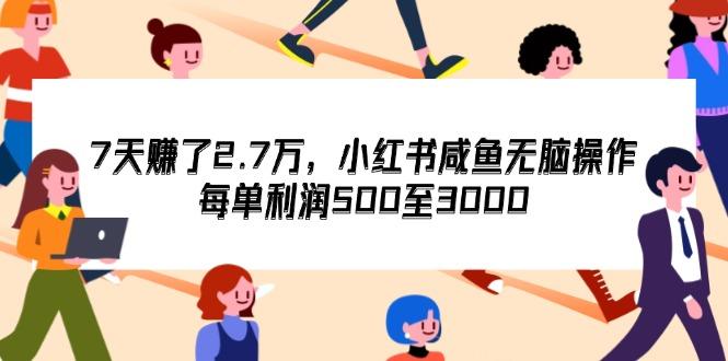 7天收了2.7万，小红书咸鱼无脑操作，每单利润500至3000-航海圈