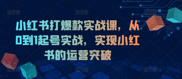 小红书打爆款实战课，从0到1起号实战，实现小红书的运营突破-航海圈