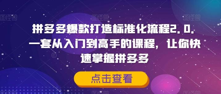 拼多多爆款打造标准化流程2.0，一套从入门到高手的课程，让你快速掌握拼多多-航海圈