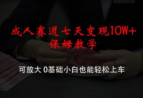 成人赛道七天变现10W+保姆教学，可放大，0基础小白也能轻松上车-航海圈