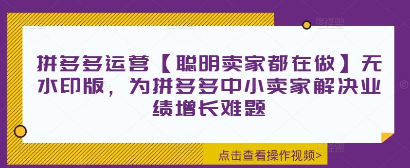 拼多多运营【聪明卖家都在做】无水印版，为拼多多中小卖家解决业绩增长难题-航海圈