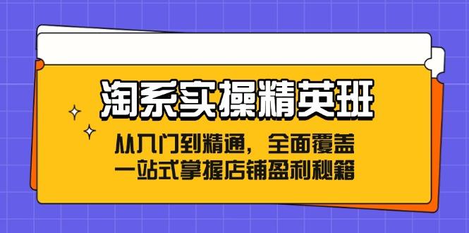 淘系实操精英班：从入门到精通，全面覆盖，一站式掌握店铺盈利秘籍-航海圈