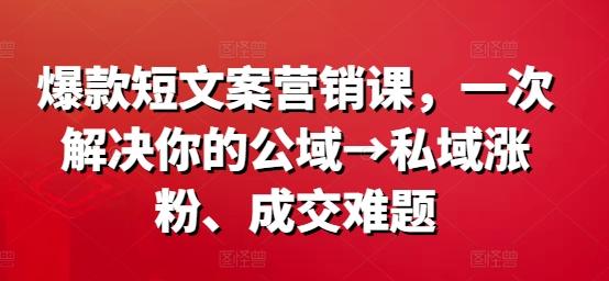 爆款短文案营销课，一次解决你的公域→私域涨粉、成交难题-航海圈