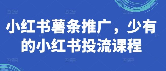 小红书薯条推广，少有的小红书投流课程-航海圈