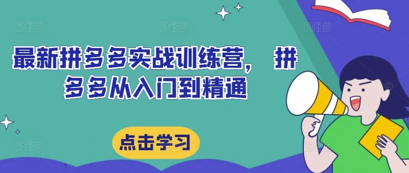 最新拼多多实战训练营， 拼多多从入门到精通-航海圈