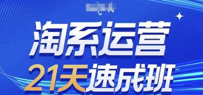 淘系运营21天速成班(更新24年8月)，0基础轻松搞定淘系运营，不做假把式-航海圈