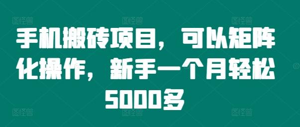 手机搬砖项目，可以矩阵化操作，新手一个月轻松5000多-航海圈