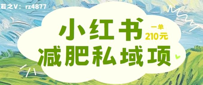 小红书减肥粉，私域变现项目，一单就达210元，小白也能轻松上手-航海圈