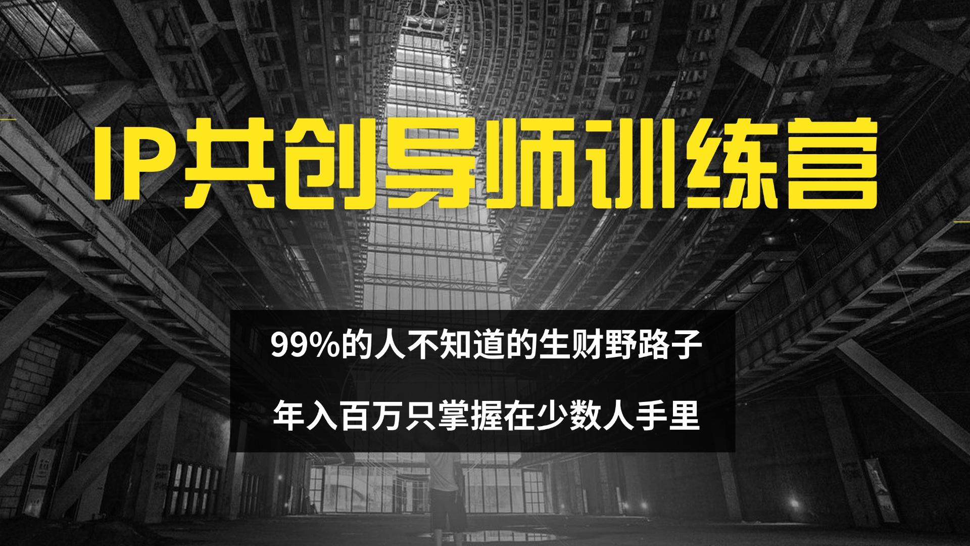 IP共创导师训练营 99%的人不知道的生财野路子 只掌握在少数人手里-航海圈