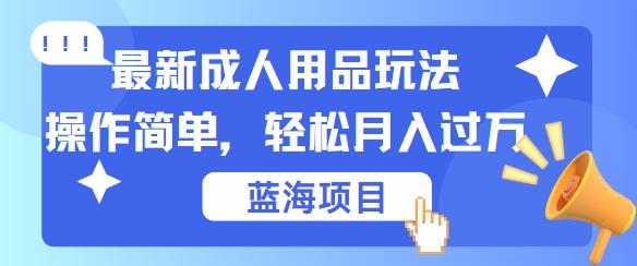 最新成人用品项目玩法，操作简单，动动手，轻松日入几张-航海圈