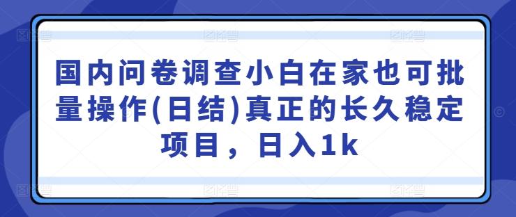 国内问卷调查小白在家也可批量操作(日结)真正的长久稳定项目，日入1k-航海圈