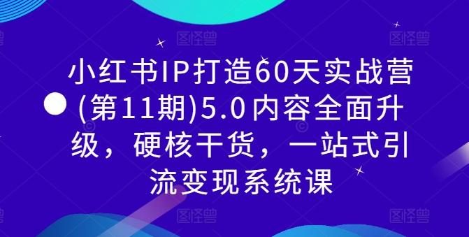 小红书IP打造60天实战营(第11期)5.0​内容全面升级，硬核干货，一站式引流变现系统课-航海圈