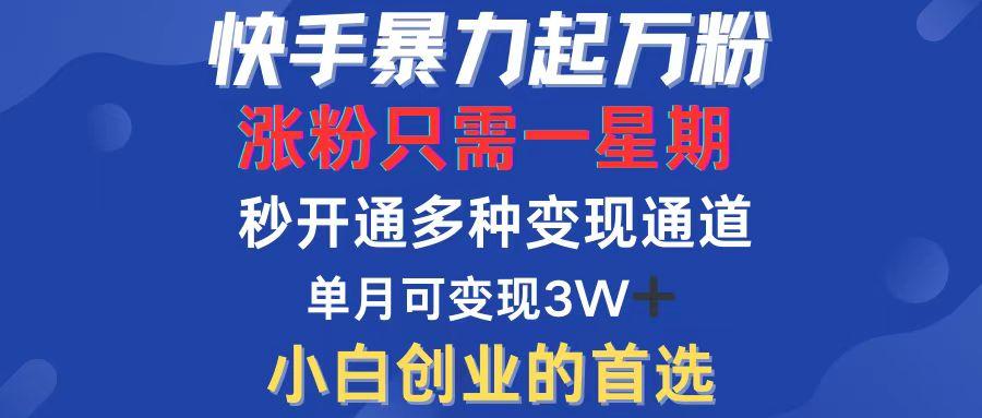 快手暴力起万粉，涨粉只需一星期，多种变现模式，直接秒开万合，小白创…-航海圈