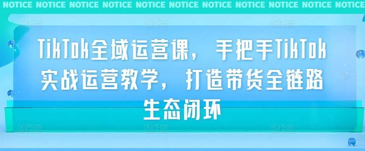 TikTok全域运营课，手把手TikTok实战运营教学，打造带货全链路生态闭环-航海圈