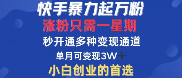 快手暴力起万粉，涨粉只需一星期，多种变现模式，直接秒开万合，单月变现过W-航海圈