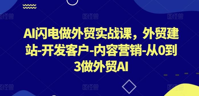 AI闪电做外贸实战课，​外贸建站-开发客户-内容营销-从0到3做外贸AI(更新)-航海圈