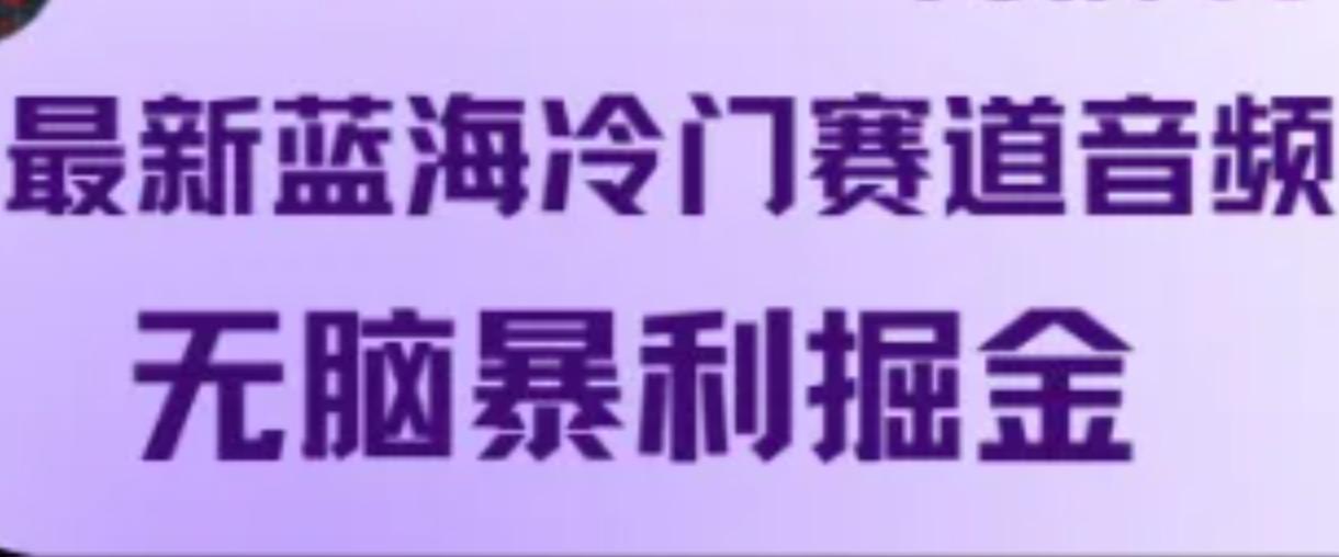 最新蓝海冷门赛道音频，无脑暴利掘金-航海圈