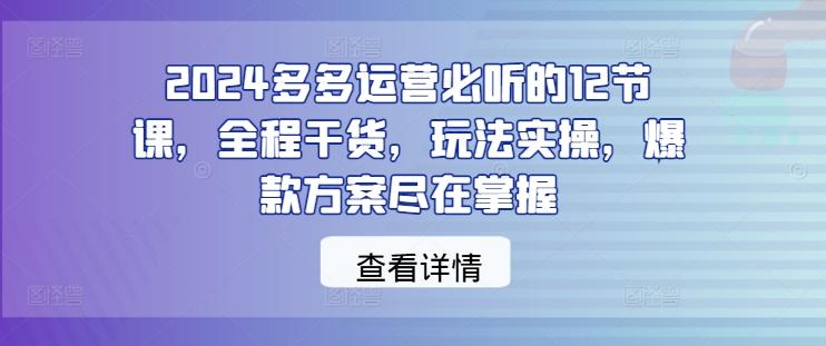 2024多多运营必听的12节课，全程干货，玩法实操，爆款方案尽在掌握-航海圈