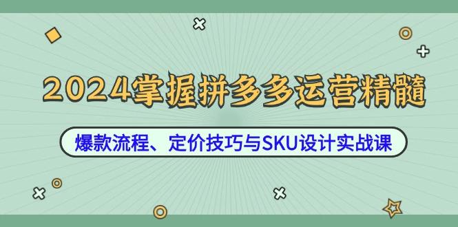 2024掌握拼多多运营精髓：爆款流程、定价技巧与SKU设计实战课-航海圈