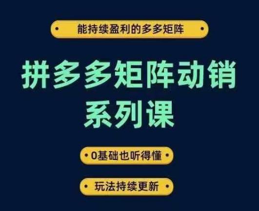 拼多多矩阵动销系列课，能持续盈利的多多矩阵，0基础也听得懂，玩法持续更新-航海圈