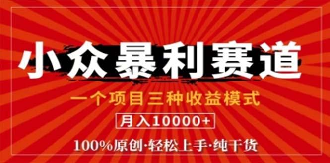 视频号最新爆火赛道，三种可收益模式，0粉新号条条原创条条热门 日入1000+-航海圈