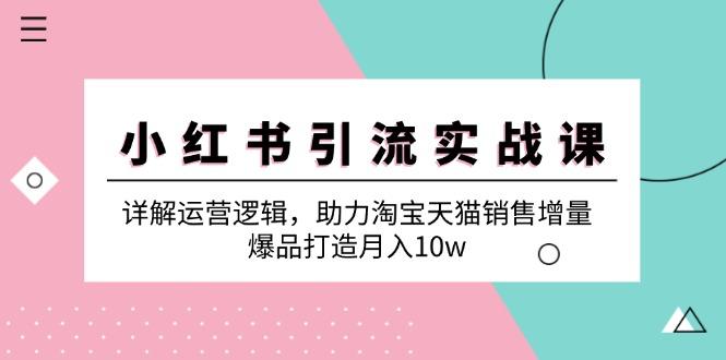 （12809期）小红书引流实战课：详解运营逻辑，助力淘宝天猫销售增量，爆品打造月入10w-航海圈