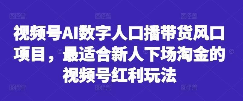 视频号AI数字人口播带货风口项目，最适合新人下场淘金的视频号红利玩法-航海圈