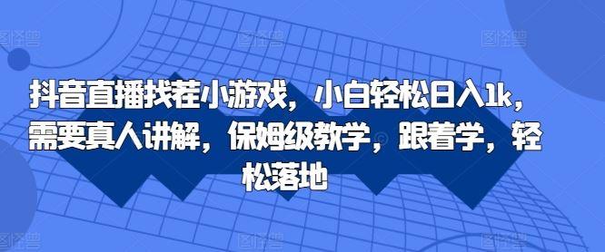 抖音直播找茬小游戏，小白轻松日入1k，需要真人讲解，保姆级教学，跟着学，轻松落地【揭秘】-航海圈