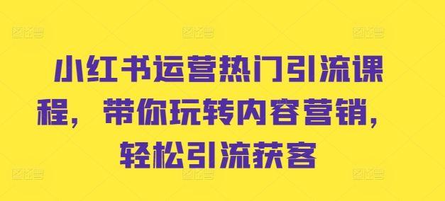 小红书运营热门引流课程，带你玩转内容营销，轻松引流获客-航海圈