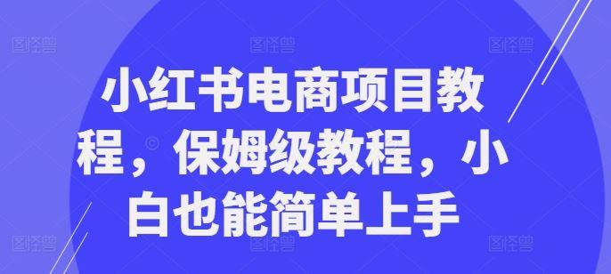 小红书电商项目教程，保姆级教程，小白也能简单上手-航海圈