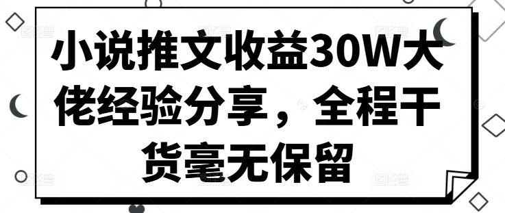 小说推文收益30W大佬经验分享，全程干货毫无保留-航海圈