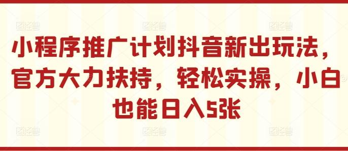 小程序推广计划抖音新出玩法，官方大力扶持，轻松实操，小白也能日入5张-航海圈