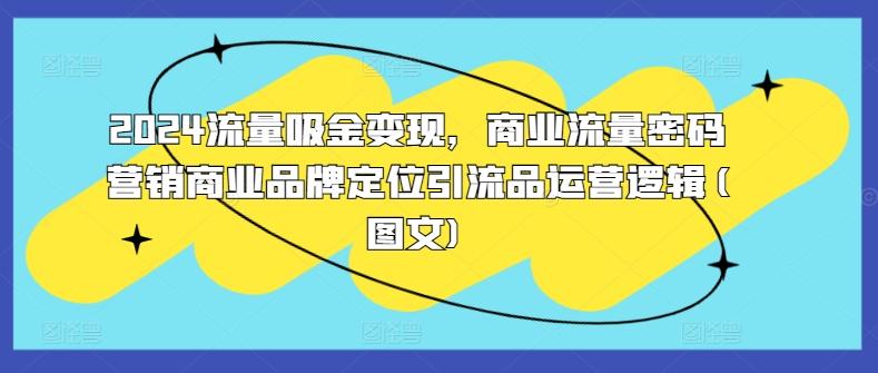 2024流量吸金变现，商业流量密码营销商业品牌定位引流品运营逻辑(图文)-航海圈