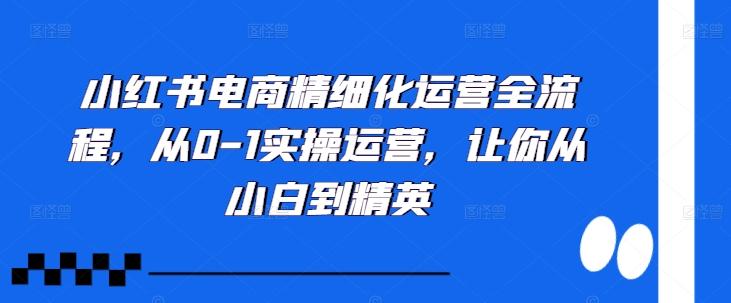 小红书电商精细化运营全流程，从0-1实操运营，让你从小白到精英-航海圈